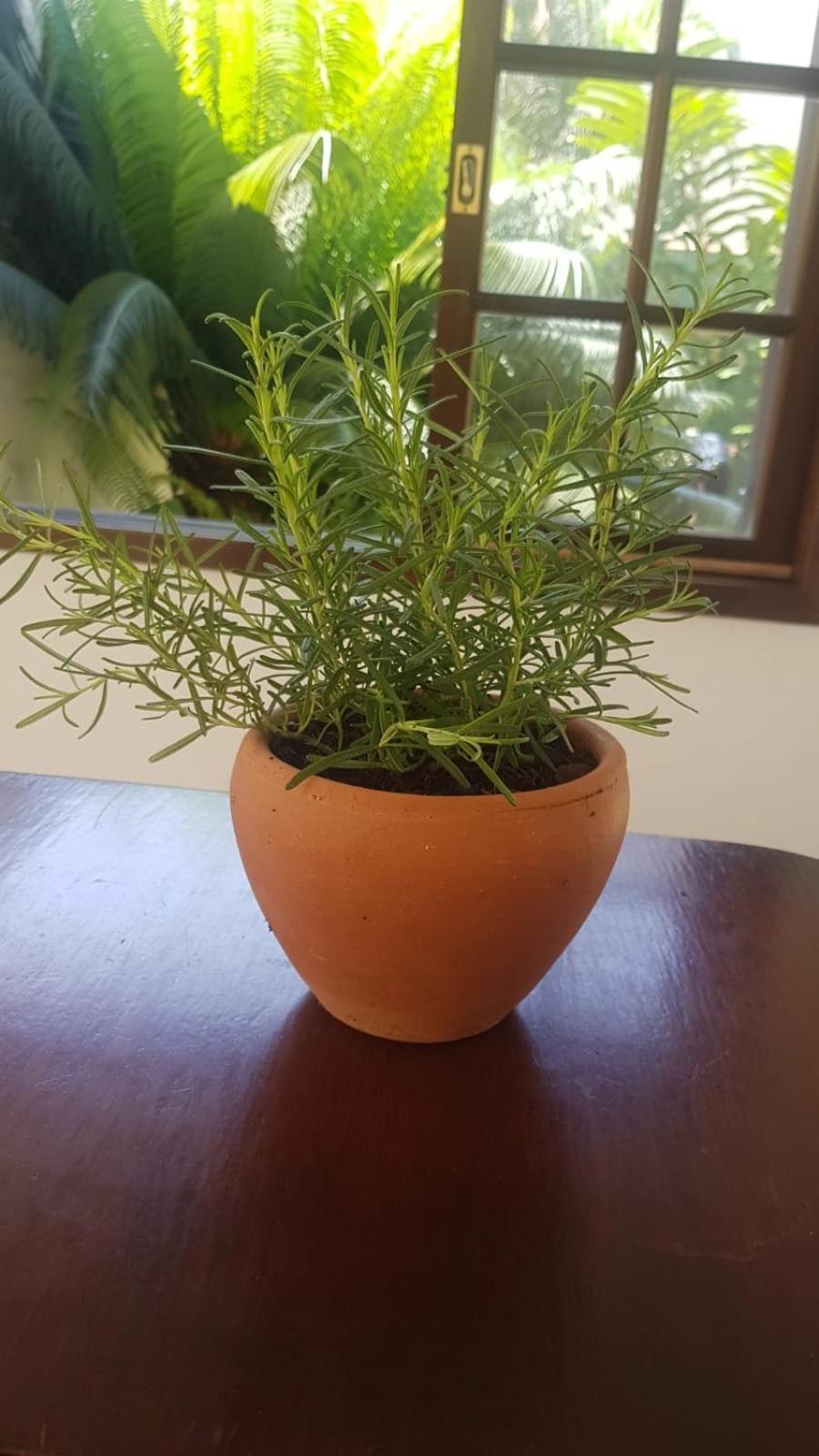 Pousada Ubatuba Itagua 외부 사진