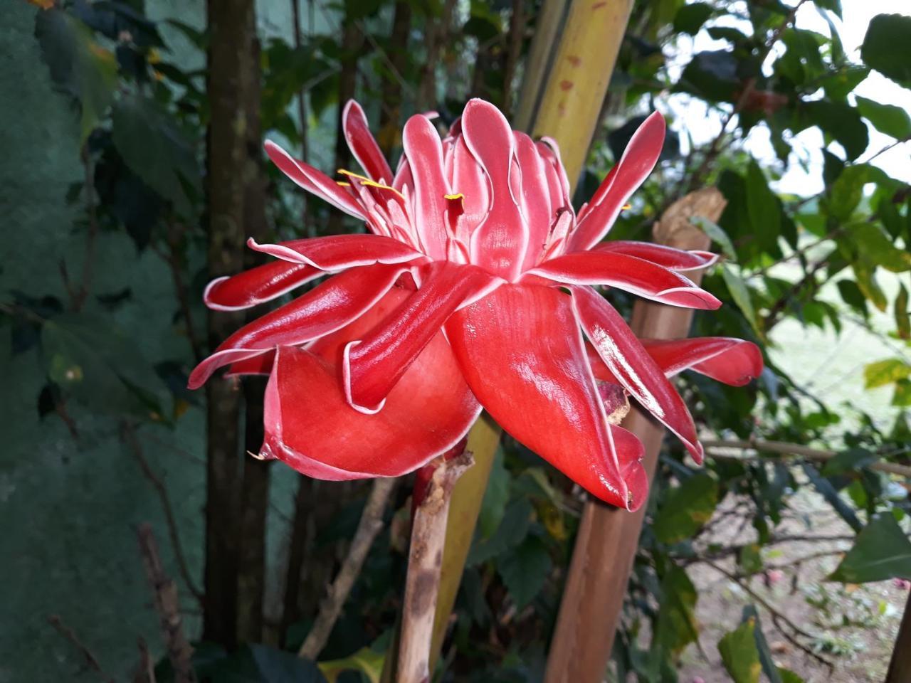 Pousada Ubatuba Itagua 외부 사진